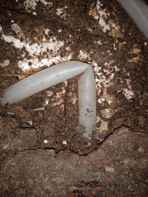 宣恩堵点精准查找